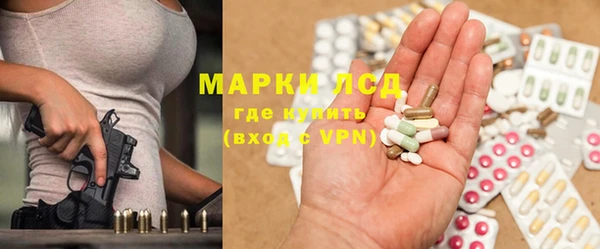 стафф Медвежьегорск