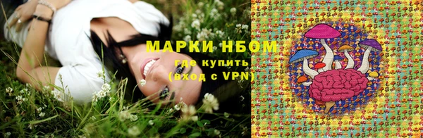 стафф Медвежьегорск