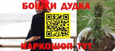 гашик Кандалакша