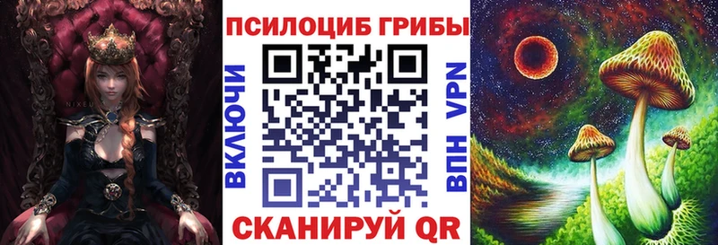как найти закладки  Уссурийск  Псилоцибиновые грибы мицелий 