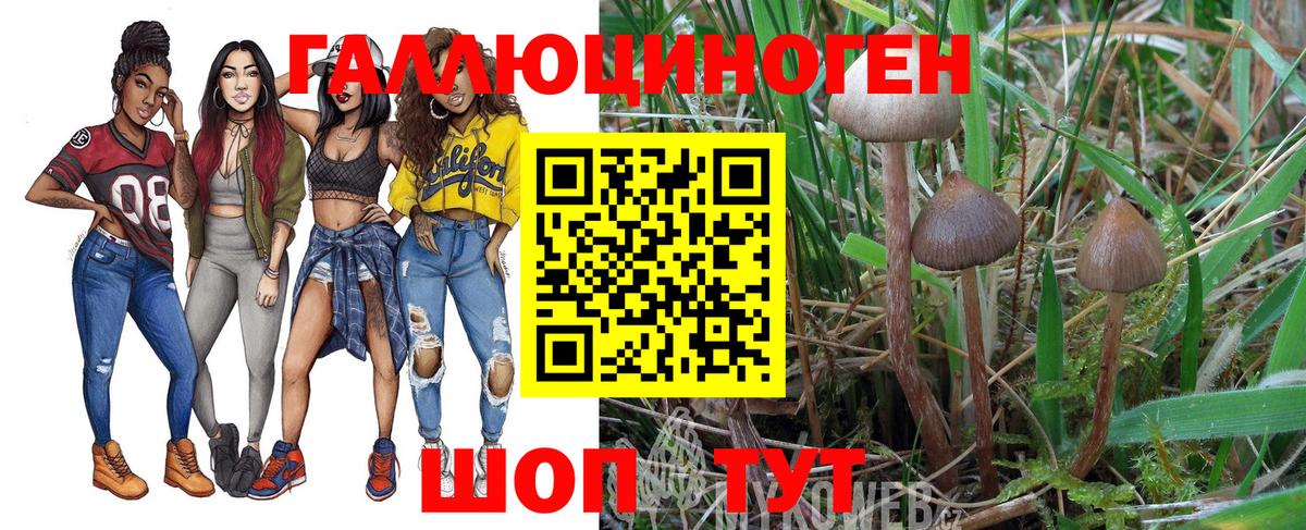 Галлюциногенные грибы прущие грибы Уссурийск